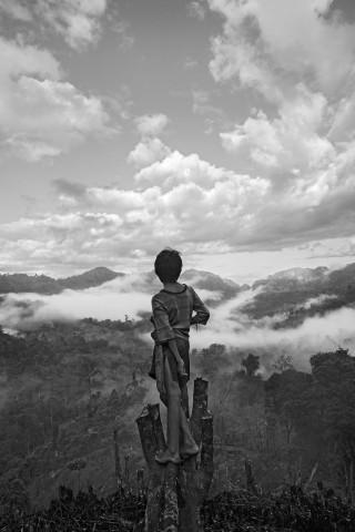 La Vallée. Palawan. Philippines . 2015.Un jeune preché sur un tronc d'arbe coupé sur son nouveau champs,regarde le jour se lever sur la vallée.jpg
