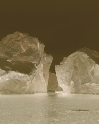 Photo Julie Agnell