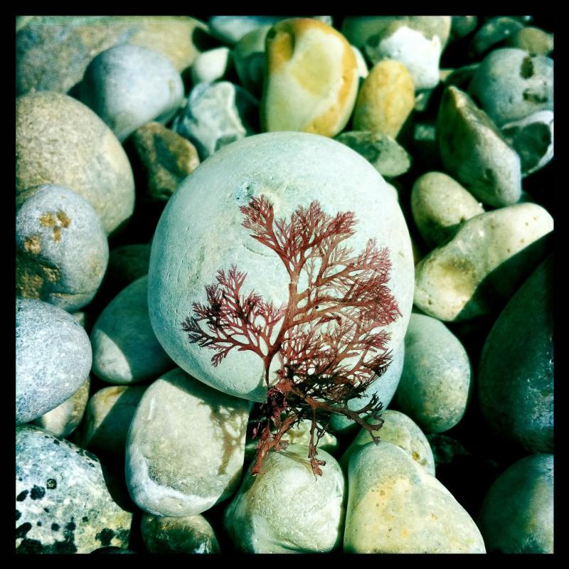 © Naïade Plante 