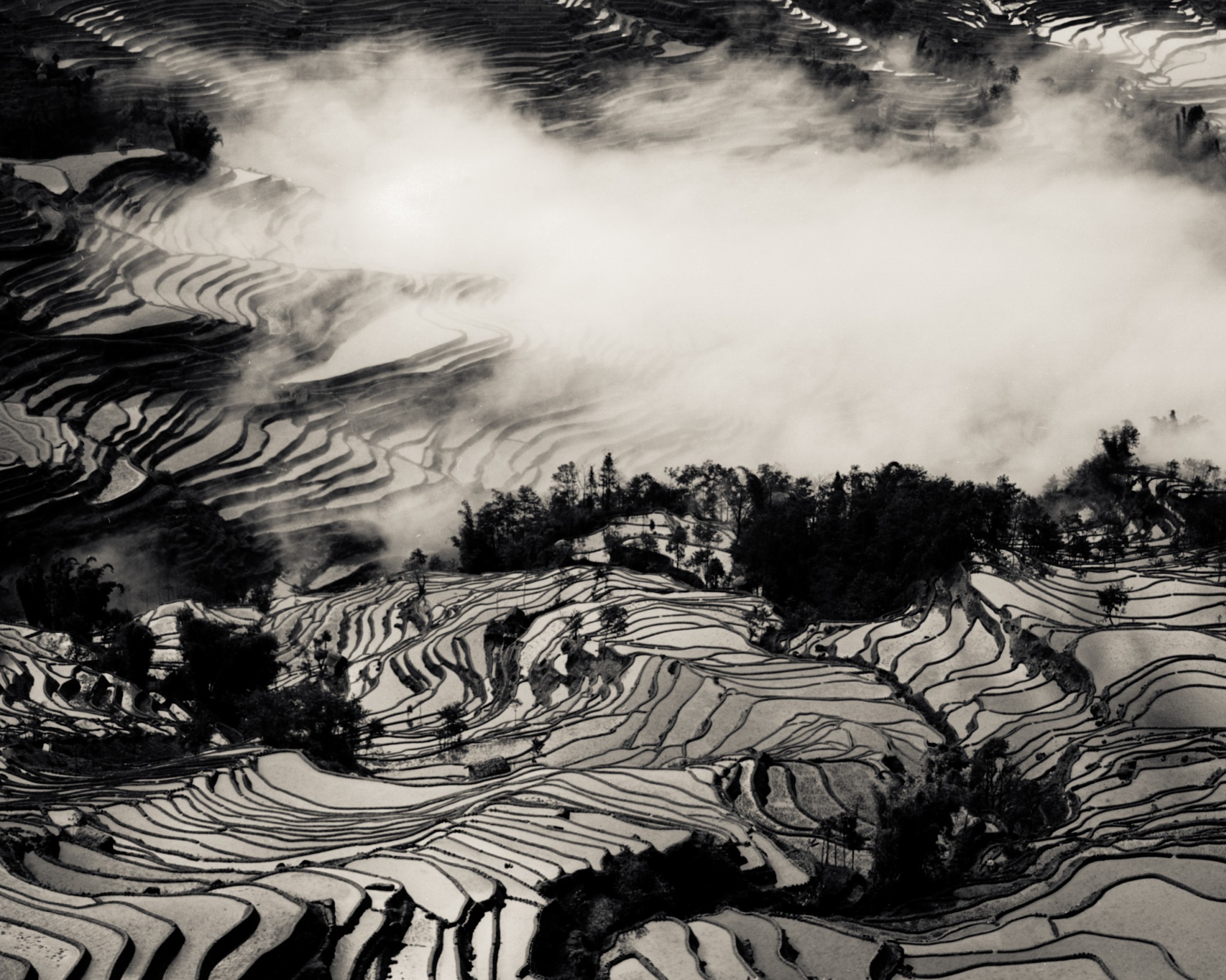rizieres yuanyang 30-3 - copie