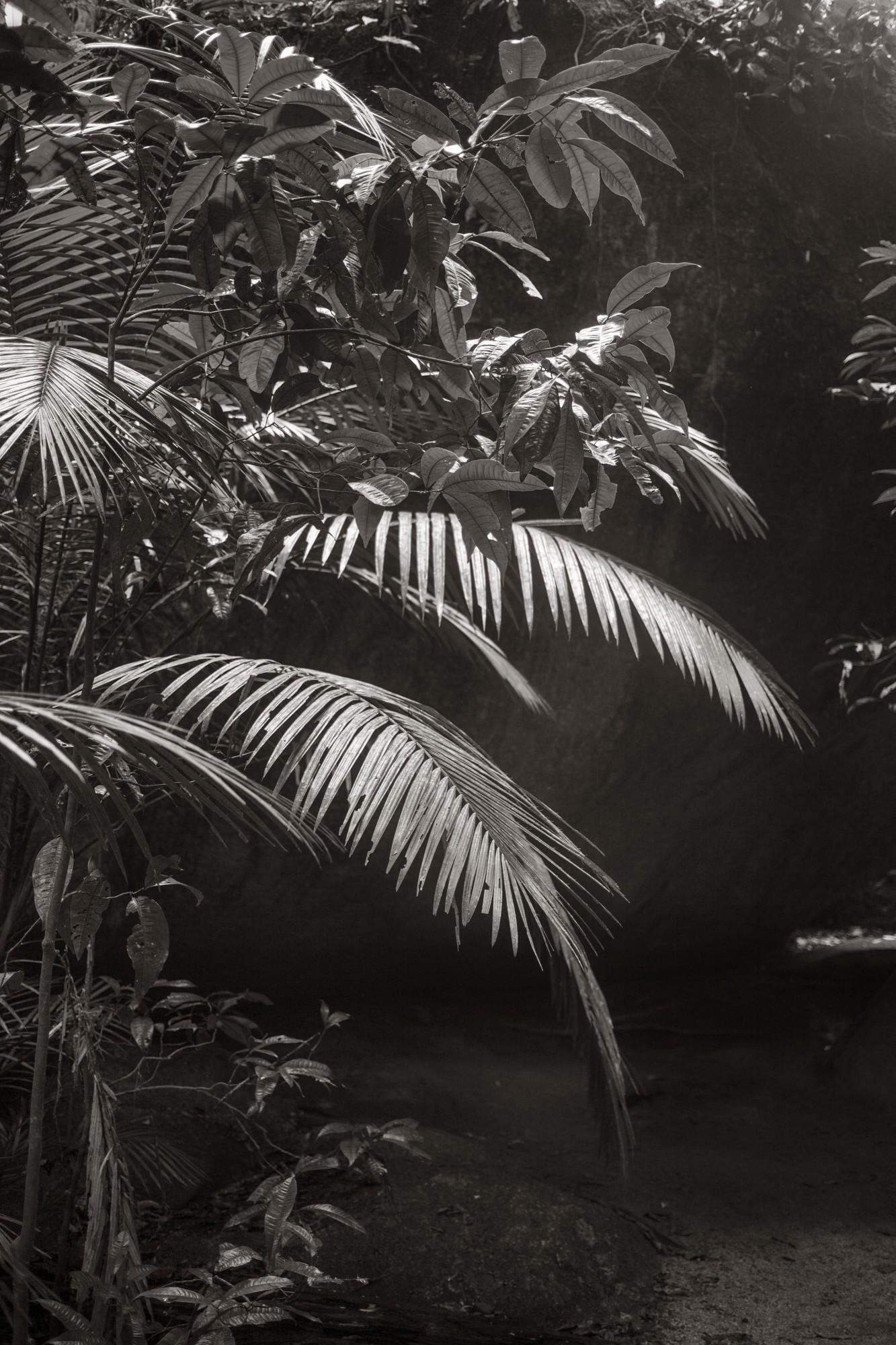© Laurent Gueneau