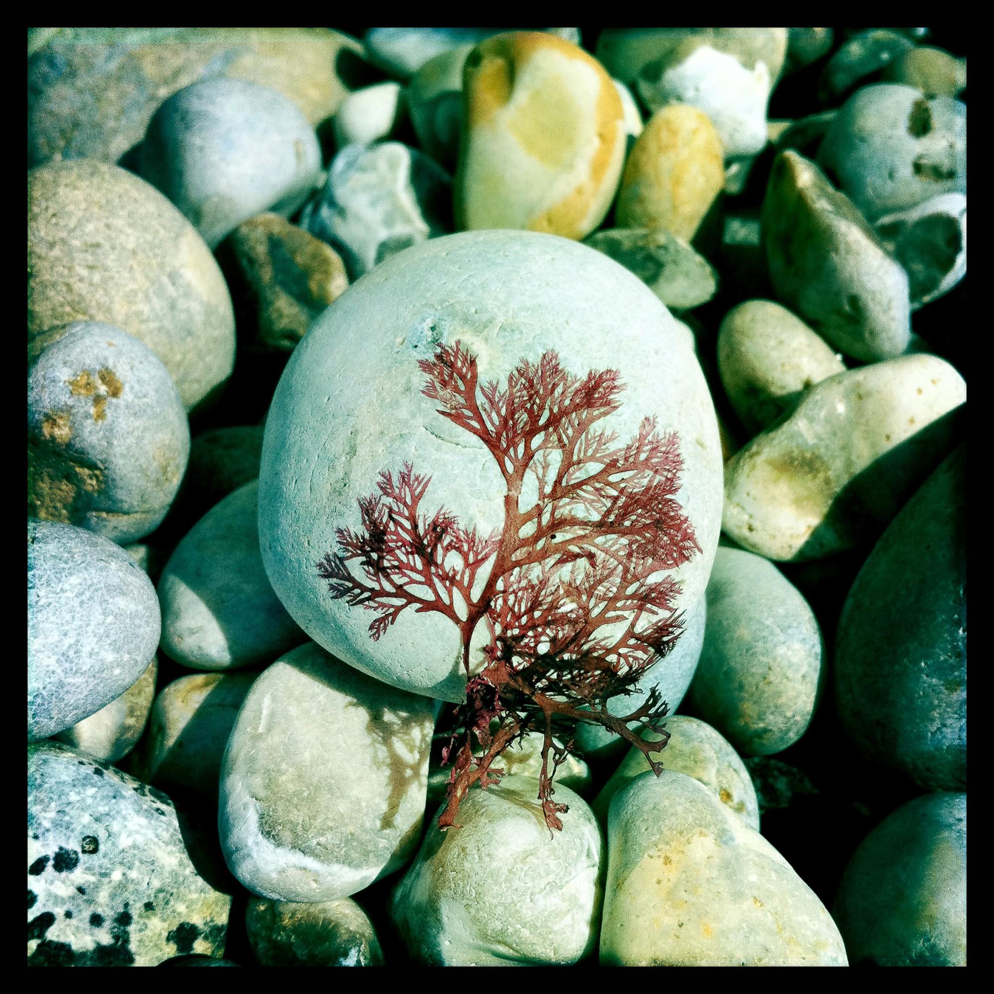 © Naïade Plante 